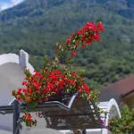 Sunmed Chata Oludeniz