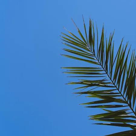 Sunmed אכסניה
