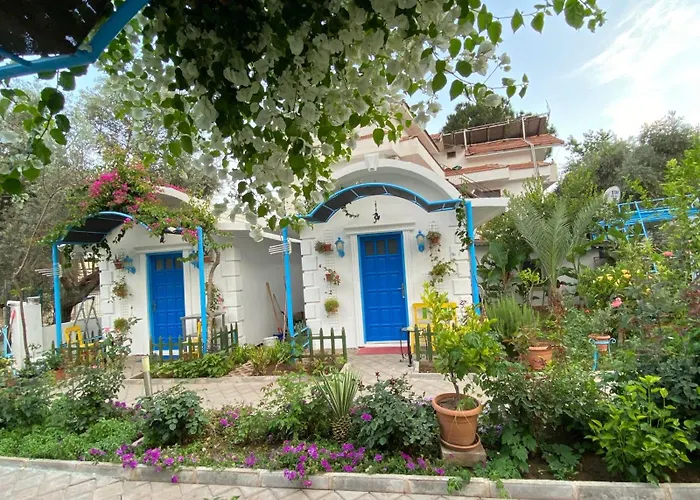 Sunmed * Ολουντενίζ