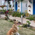 Sunmed Cabană *