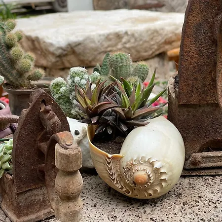 بيت خشبي Sunmed