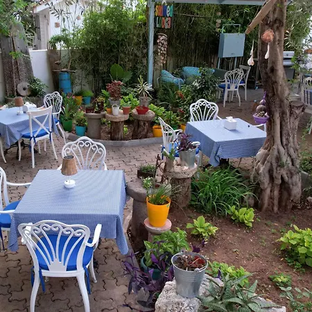 Sunmed オルデニズ