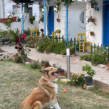 桑雷德旅舍 山林小屋 *