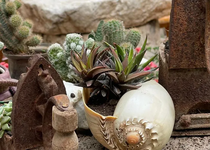 롯지 선메드 롯지