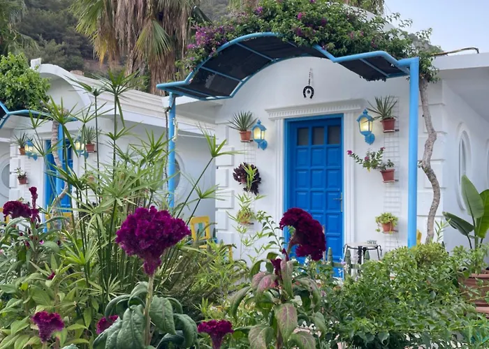 Orman Evi Sunmed Ölüdeniz